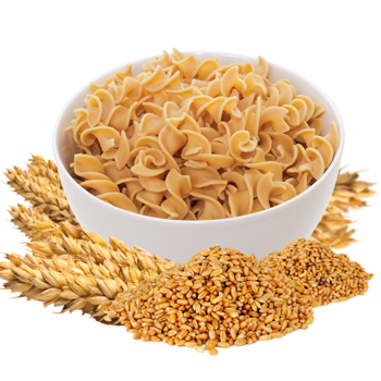 Rotini